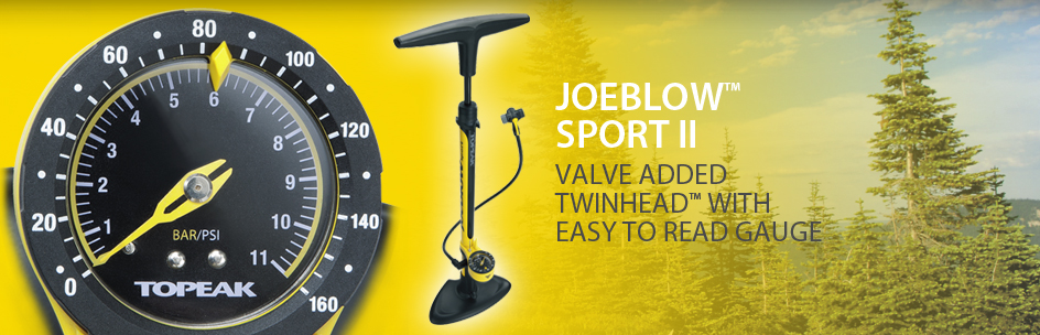 Joe Blow Sport